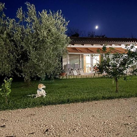 Villetta Bianca Pisticci-Matera ภายนอก รูปภาพ